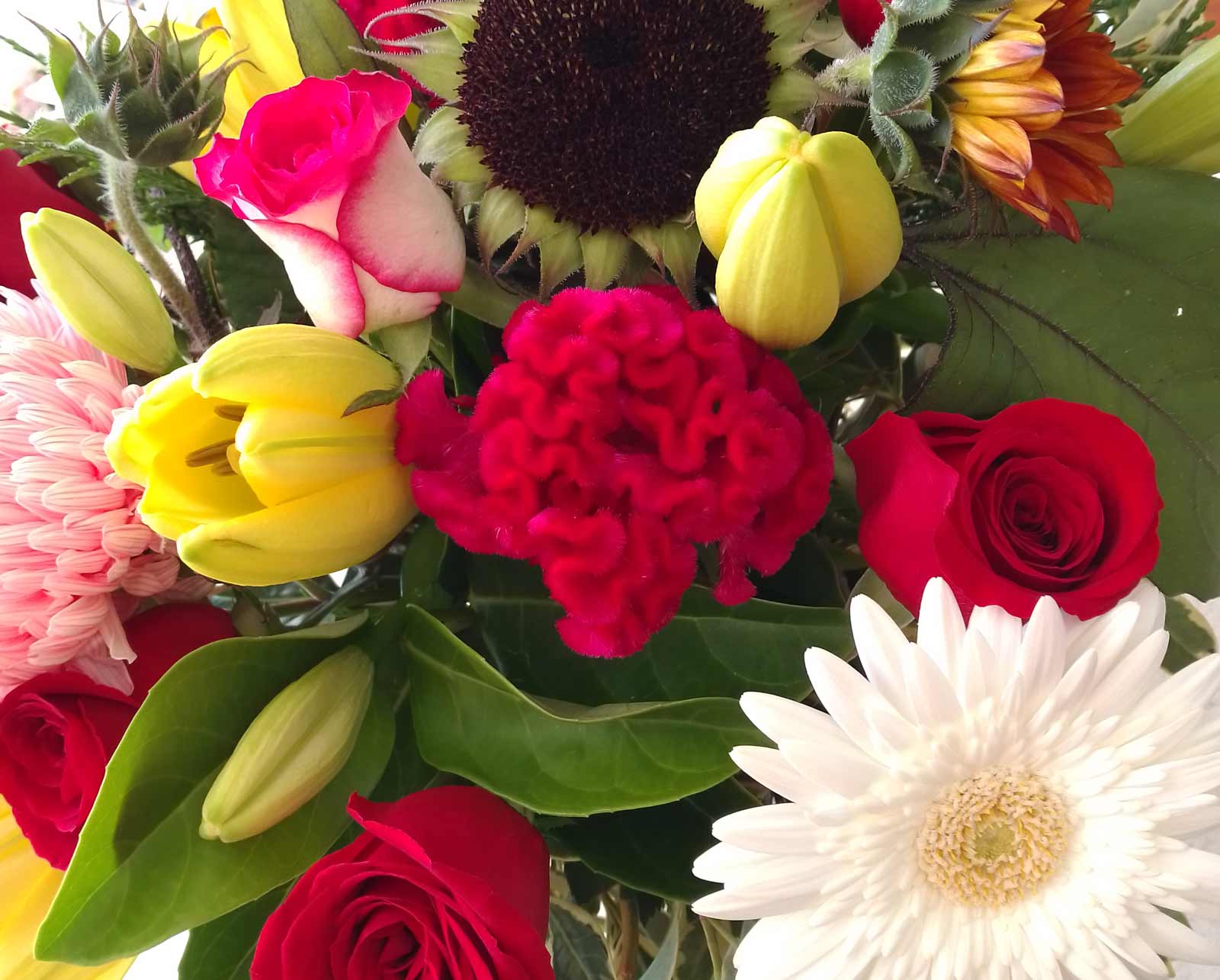  Mothers Day Flower Delivery at PosyBean Flowers Delivered